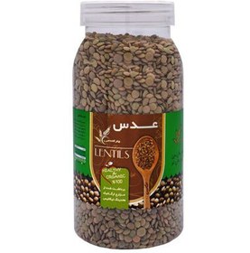 تصویر عدس چتر گندمی 700 گرمی 