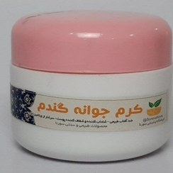 تصویر کرم سنتی جوانه گندم Wheat germ cream