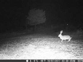 تصویر دوربین تله ای h885c GOYOJO HD Hunting Camera Nature Night Vision Trail