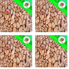 تصویر باقالی خشک ۱ کیلوگرم 