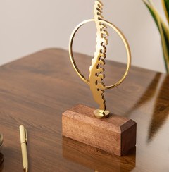 تصویر تندیس ستون فقرات 