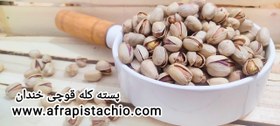 تصویر پسته کله قوچی خندان 