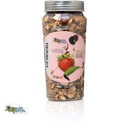 تصویر گرانولا روزانه شکلات تلخ و توت فرنگی 