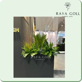 تصویر برگ آرایی لیندا 