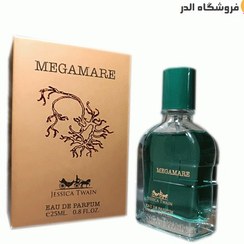 تصویر عطر 25 میل جسیکا توین رایحه اورتو پاریسی مگامار 