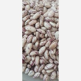 تصویر لوبیا چیتی ازبک درجه یک 