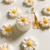 تصویر گیفت شات شمع بابونه (10عددی) معطر و شیک گیفت عروسی 