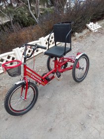 تصویر سه چرخه ویژه آسیب نخاعی 