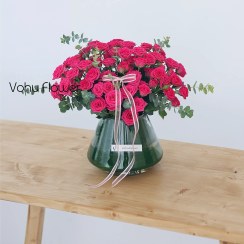 تصویر گل و گلدان رز مینیاتوری سرخابی 