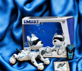 تصویر سگ کنترلی شارژی مدل A002 