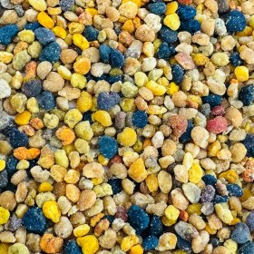 تصویر گرده گل کوهستان هاکان 