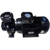 تصویر پمپ جت جکوزی هایواتر 3 اسب تکفاز HW J 3/2/ MS 