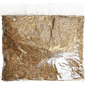 تصویر زیره سیاه 