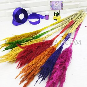 تصویر گل خشک مدل قمیش 