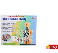 تصویر اسباب بازی آموزشی مولاژ نیم تنه (10 تکه) سایز کوچک مدل The Human Body 3305 