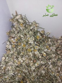 تصویر بابونه گاوی - ۷۵ گرمی 