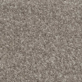 تصویر پالاز موکت طرح کات B 