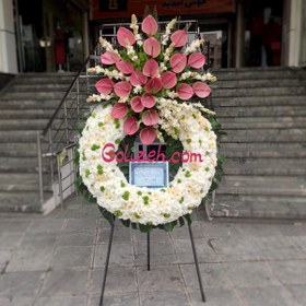 تصویر تاج گل درباری مریم 