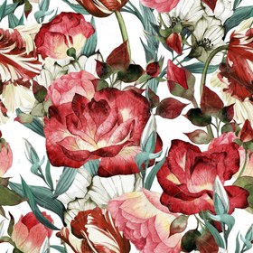 تصویر عکس با کیفیت نقاشی آبرنگ گل محمدی با تم قرمز 