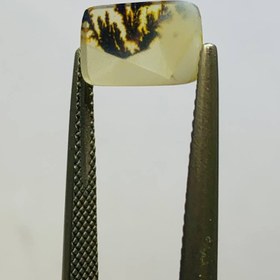 تصویر نگین شجر طبيعى هندوستان سایز 12*7 میلی‌متر 