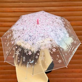 تصویر چتر شفاف شکوفه 
