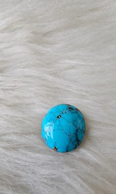 تصویر نگین فیروزه شجر 