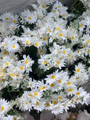 تصویر بوته مینا (بابونه) مصنوعی ۲۷گل 