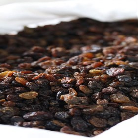 تصویر کشمش آبگیری 