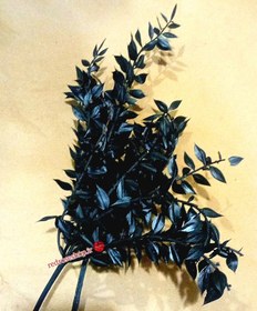 تصویر برگ خشک جز سفید و سیاه کد 383 