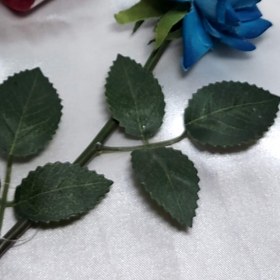 تصویر نخ استرچ 