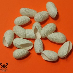 تصویر پیله ابریشم 