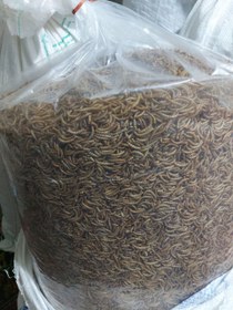 تصویر میل ورم خشک 5کیلویی worm farmer 