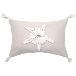 تصویر کوسن ستاره دریایی 