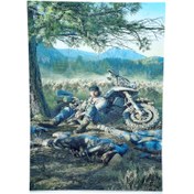 تصویر پوستر طرح Days Gone 