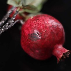 تصویر شاخه انار قرمز 