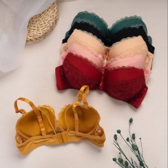 تصویر سوتین اسفنجی هارنسی 