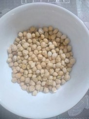 تصویر نخود ایرانی 