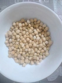 تصویر نخود ایرانی 