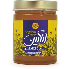 تصویر عسل ۹۰۰ گرمی گز انگبین 