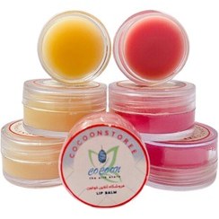 تصویر بالم لب کاسه ای کوچک 