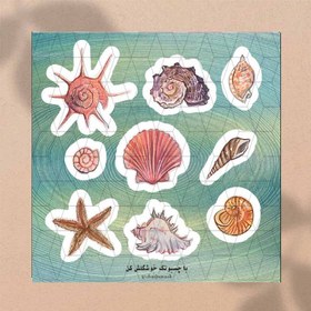 تصویر مینی پک صدف / SHELL 