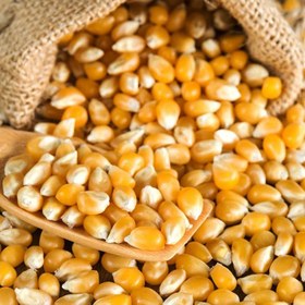 تصویر ذرت 500 گرم 