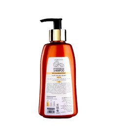 تصویر شامپو گانودرما روزانه دکتر بیز Biz shampoo Ganooderma for daily care