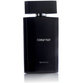 تصویر ادکلن مردانه coeur noir برند رایموند حجم 100میل raymond coeur noir 100ml (mont blanc emblem)