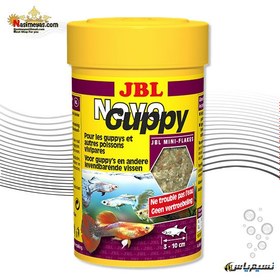 تصویر غذای پولکی نوو گوپی جی بی ال JBL Novo Guppy