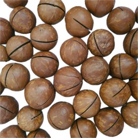 تصویر فندق ۲۵۰ گرم 