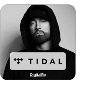 تصویر خرید اکانت تایدال Tidal 