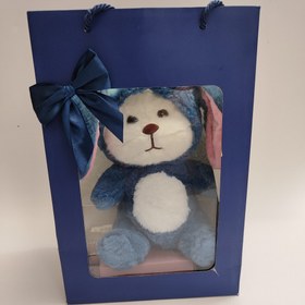 تصویر عروسک کلاه‌دار دوکاره مدل استیج 