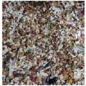 تصویر دان قناری 