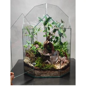 تصویر تراریوم چند ضلعی کد 018( ارتفاع 50 سانت) 
